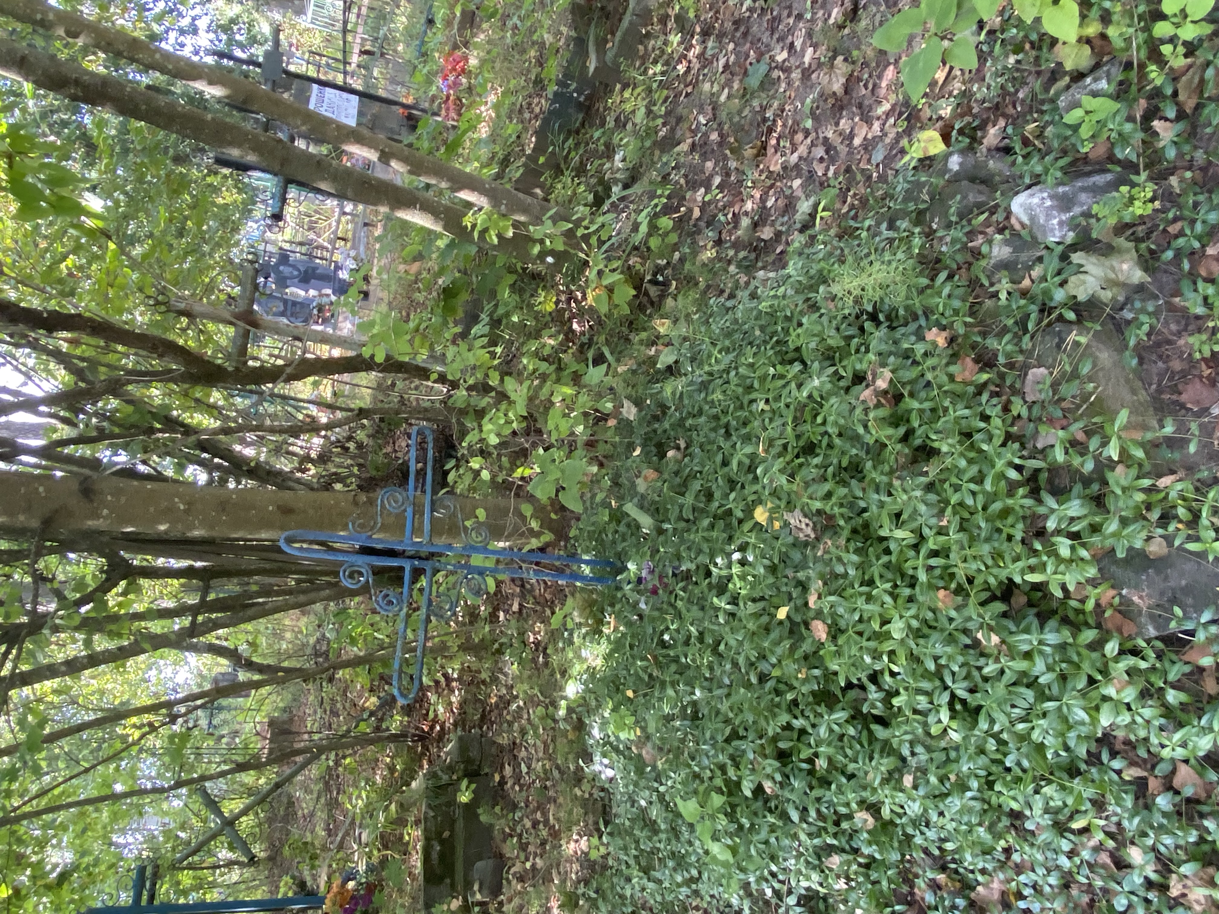 Фотография надгробия